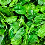 spinach leaves