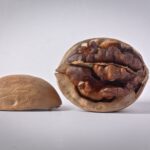 walnut half in shell