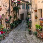 cobbled street and pink flowers in pots