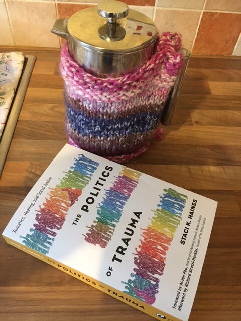 coffee pot with knitted cost and the Politics of Trauma book