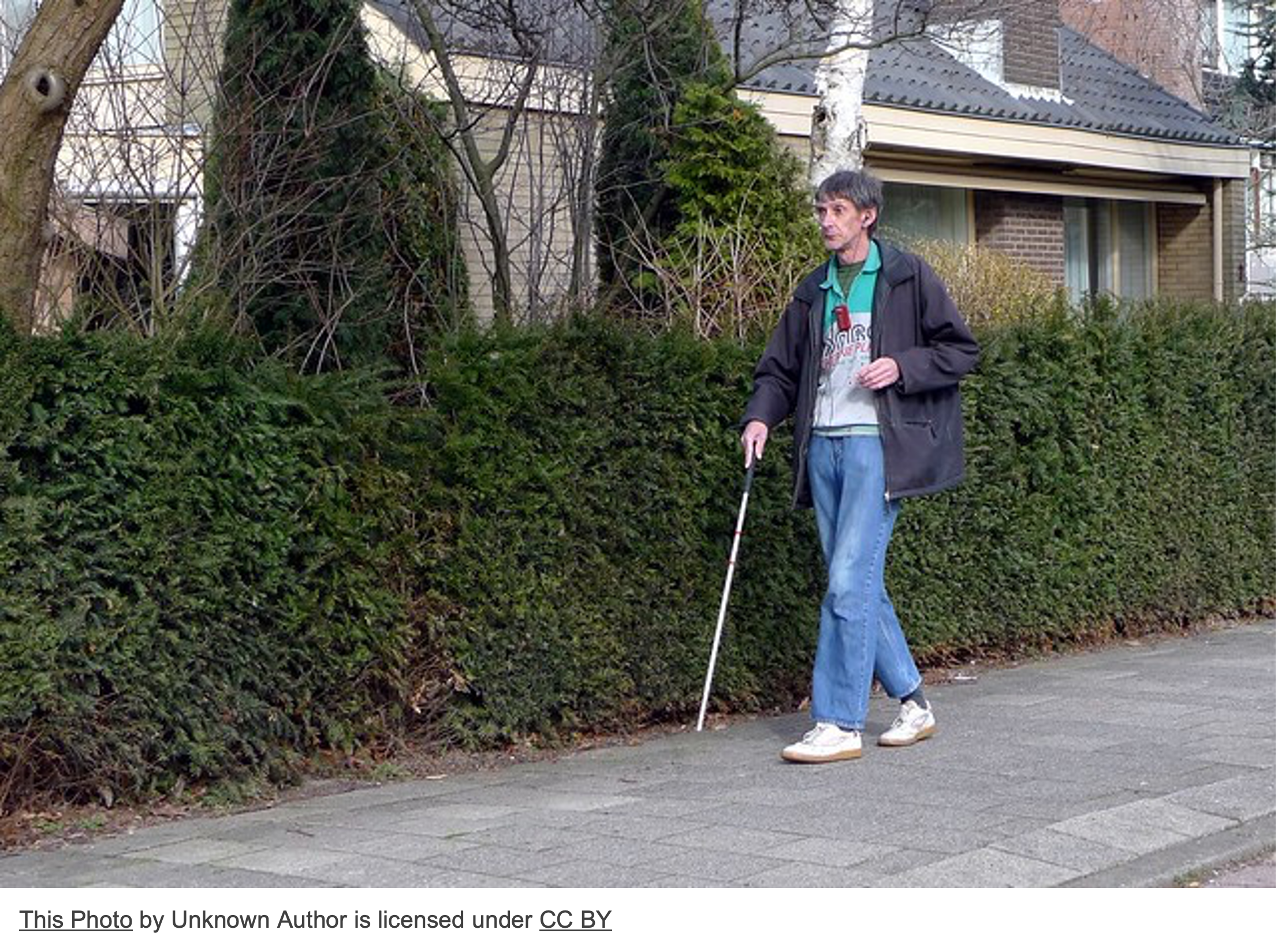 Man in jeans and dark anorak using white stick to walk, on pavement beside hedge with wooden house.