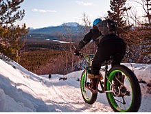 Fat cyclist in snow on mountain bike